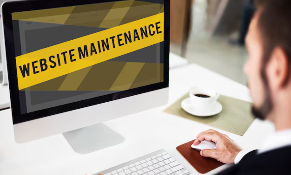 CMS Maintenance & Support